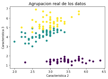 _images/Clase 09 - Unsupervised Learning_24_0.png